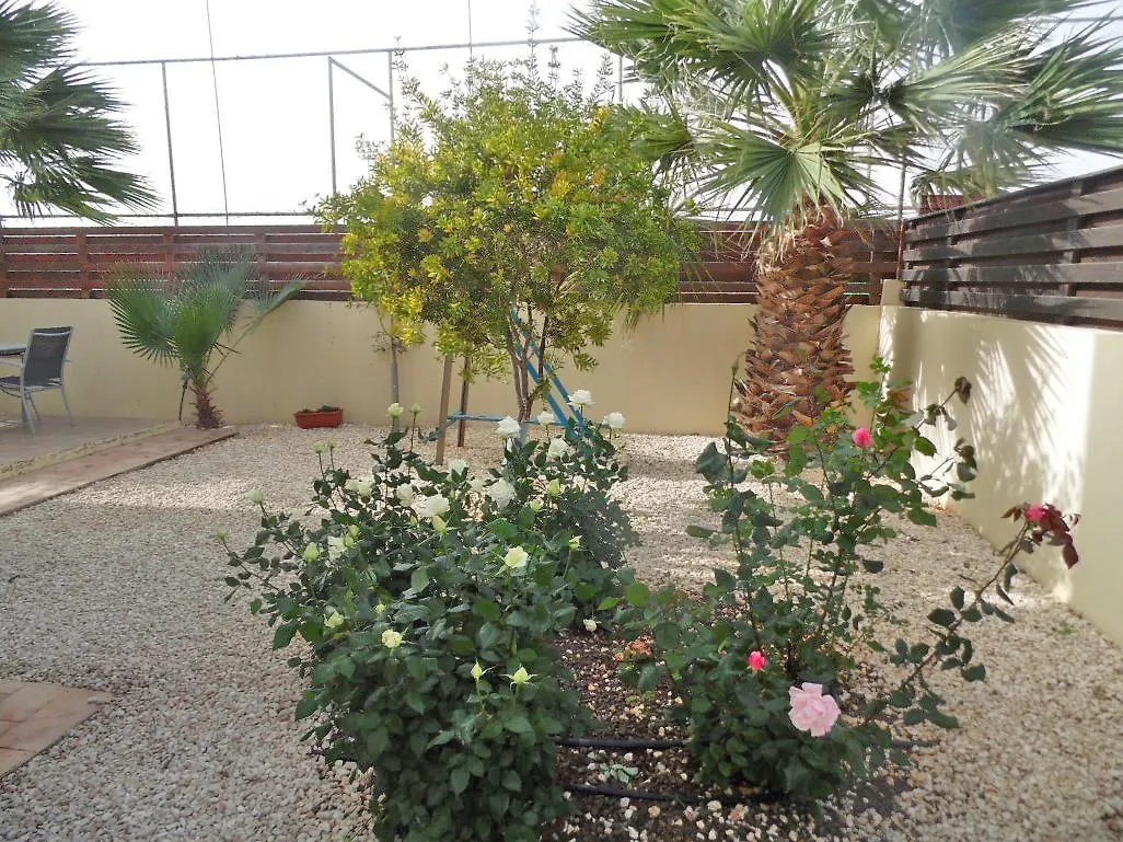 Villa Favor - 3 Bed With Pool Close To Nissi Beach Ayia Napa